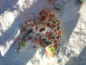 Malování sněhu barvičkama